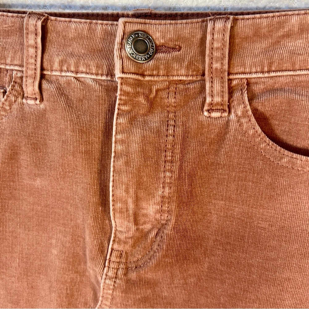 American Eagle Vintage Mini skirt corduroy distressed raw hem pink brown tones 4 - Picture 2 of 8